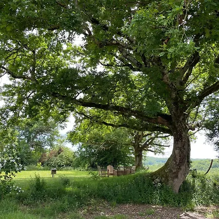 فندق مبيت وإفطار L'arbre Penche