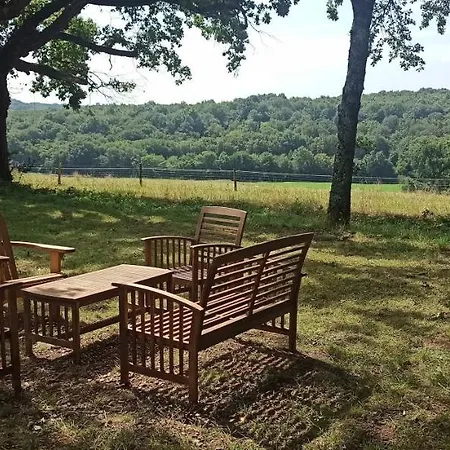Couette-café L'arbre Penche