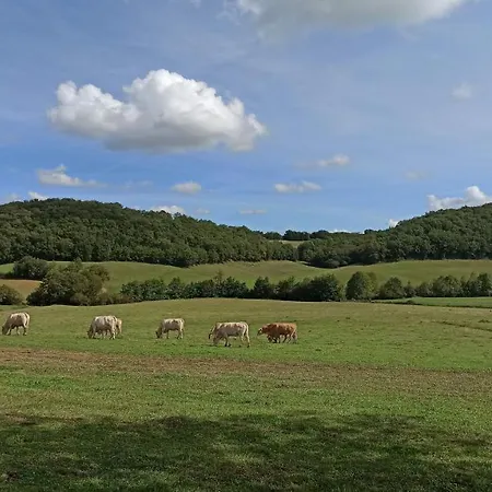 L'arbre Penche 住宿加早餐酒店 3*