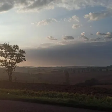 L'arbre Penche 住宿加早餐酒店 Bassoues
