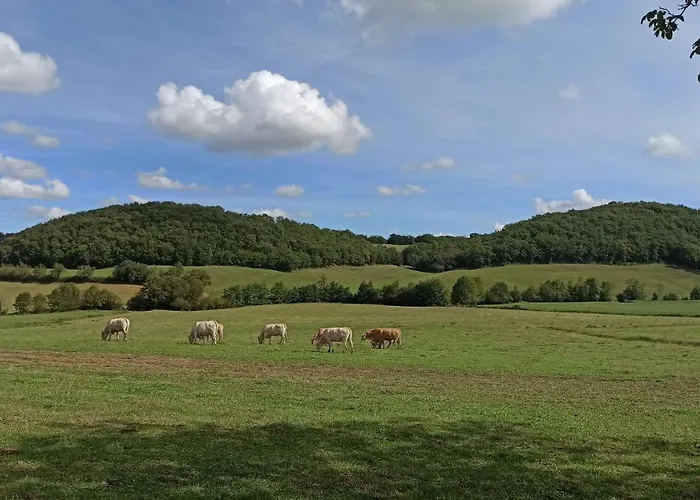 L'arbre Penche Frühstückspension 3*