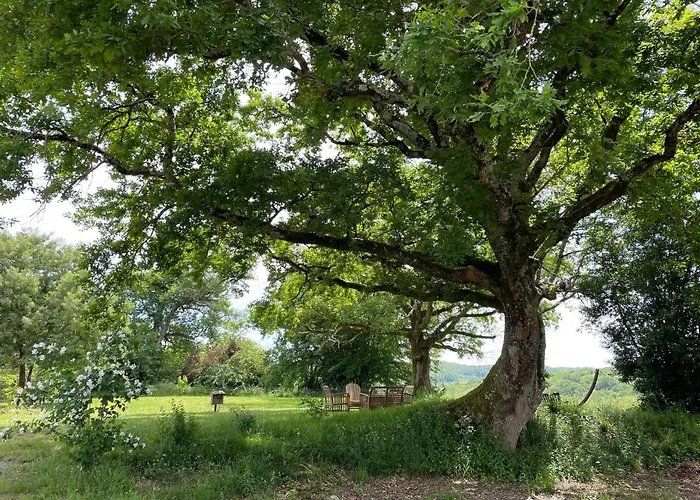 Frühstückspension L'arbre Penche